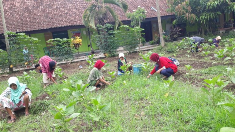 Isi Kegiatan Akhir Pekan, Penerima Manfaat Lansia di UPT PSTW Jember Tanam Bibit Kacang