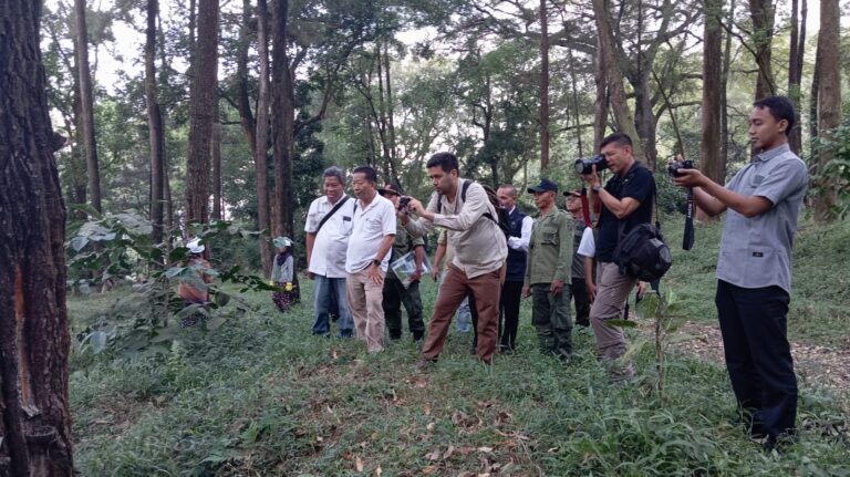 Perhutani Probolinggo Dukung Percepatan Pembangunan Jalan Tol Probowangi