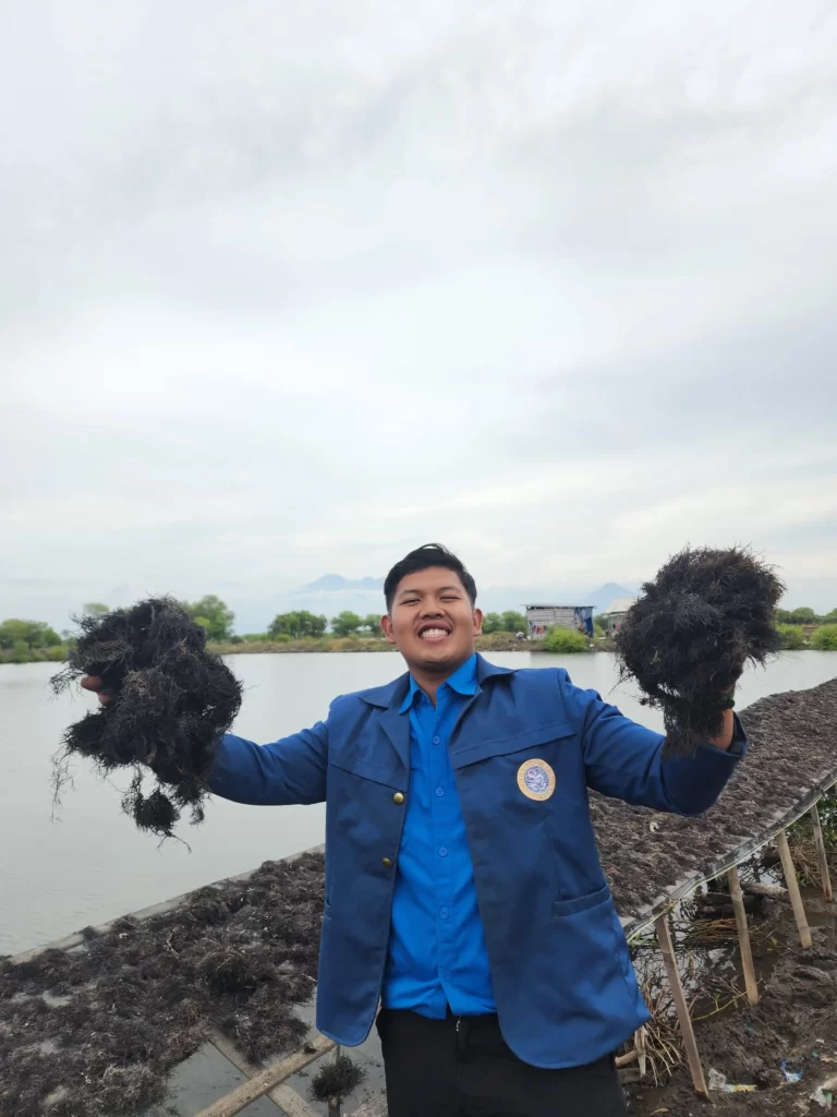 Mahasiswa UNAIR Miliki 2 Perusahaan Budidaya Rumput Laut Gracilaria Memanfaatkan Lahan Kosong, Mahasiswa FPK Budidayakan Rumput Laut
