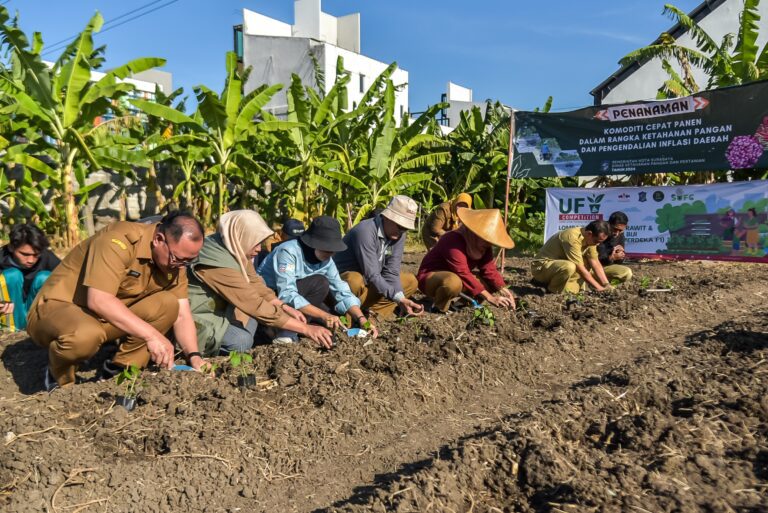 Pemkot Surabaya Gelar Penanaman Cabai dan Bawang Merah Serentak, Libatkan 60 Poktan Urban Farming