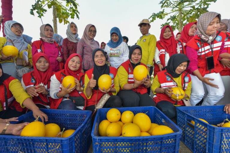 Pemkot Surabaya bersama Kelompok Tani Sendang Biru Made Panen Raya 2 Ton Golden Melon