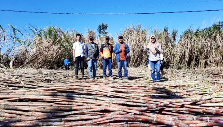 SGN Besama Disbun Jatim Optimalkan Kemitraan Tebu Rakyat untuk Swasembada Gula Nasional