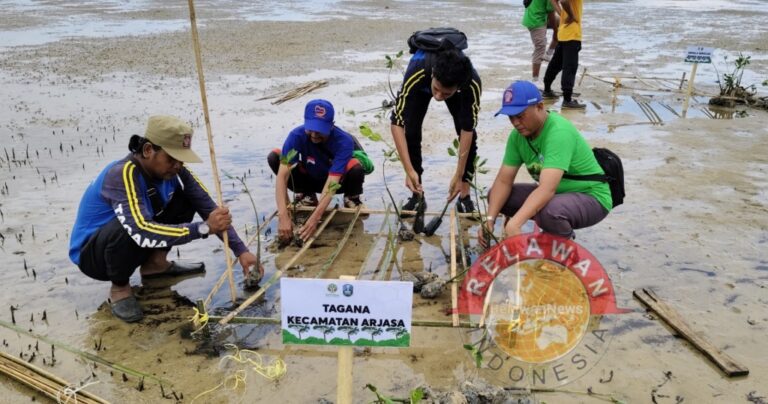 Tagana Sumenep Dukung Suksesnya Penanaman 80 Ribu Mangrove, Upaya Kurangi Emisi hingga Cegah Abrasi