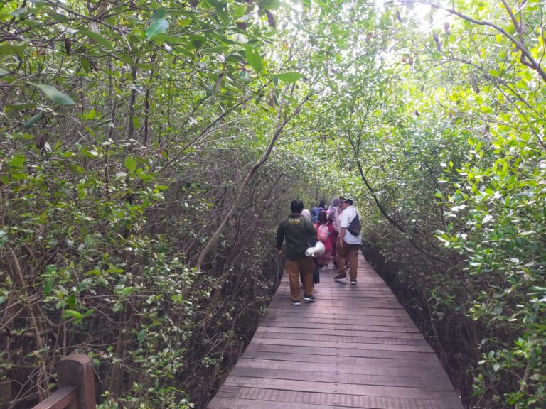 Nikmati Momen Liburan di Mangrove, Pemkot Surabaya Gelar Beragam Kegiatan Spesial