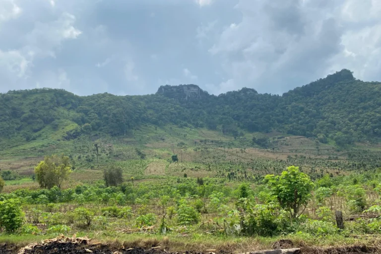 Pemkab Ponorogo Segera Hijaukan Lahan Terbuka Seluas 11 Ha