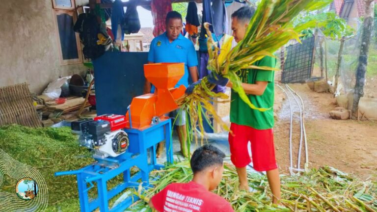 Peternakan Kambing Lereng Gunung Wilis Jadi Model Harmoni Ekonomi dan Konservasi