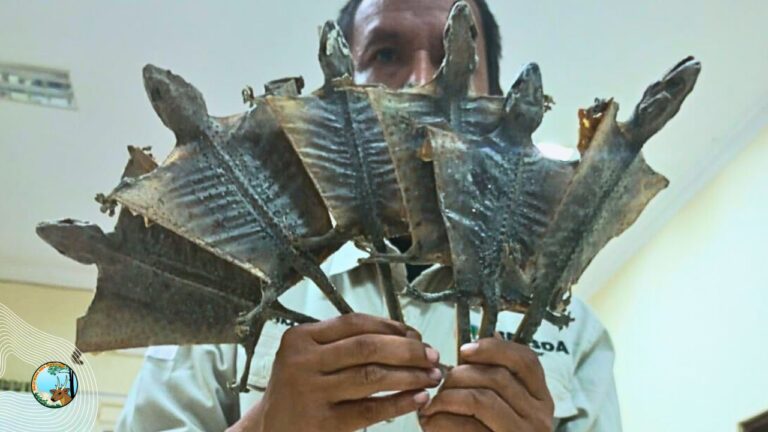 Jaga Keseimbangan Alam, BBKSDA Jatim Lakukan Pemeriksaan Tiga Perusahaan Konservasi