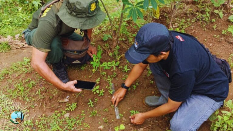 Viral Dugaan Jejak Harimau di Ponorogo, BBKSDA Jatim Pastikan Bukan Kucing Besar
