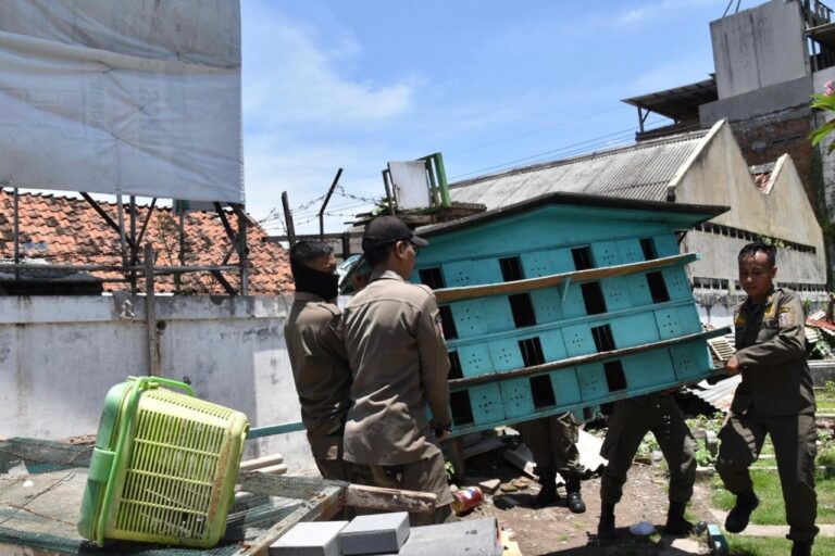 Tindak Tegas Perjudian Merpati, Satpol PP Surabaya Terbitkan 8 Bekupon di Tambaksari