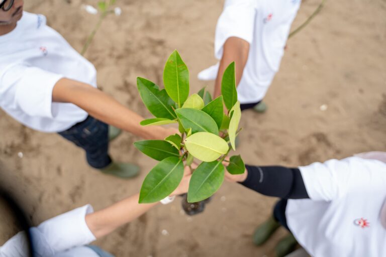 Peringati Hari Bumi, Telkom Pertegas Komitmen Energi Terbarukan Berkelanjutan