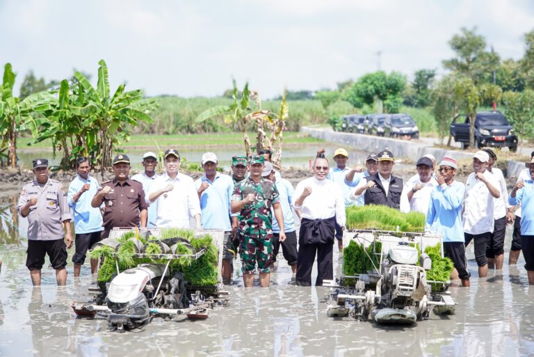 Luas Tambah Tanam Lamongan Sampai Bulan April Capai 28,30 Persen