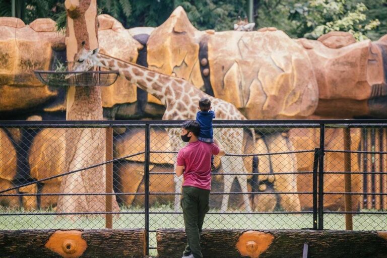 Perpanjangan Event dan Wahana Baru Jadi Andalan KBS Tarik Wisatawan Lebaran