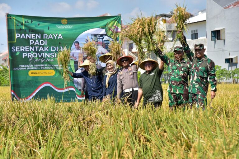 Pemkot Surabaya dan Kodim Ikut Panen Padi Serentak Nasional