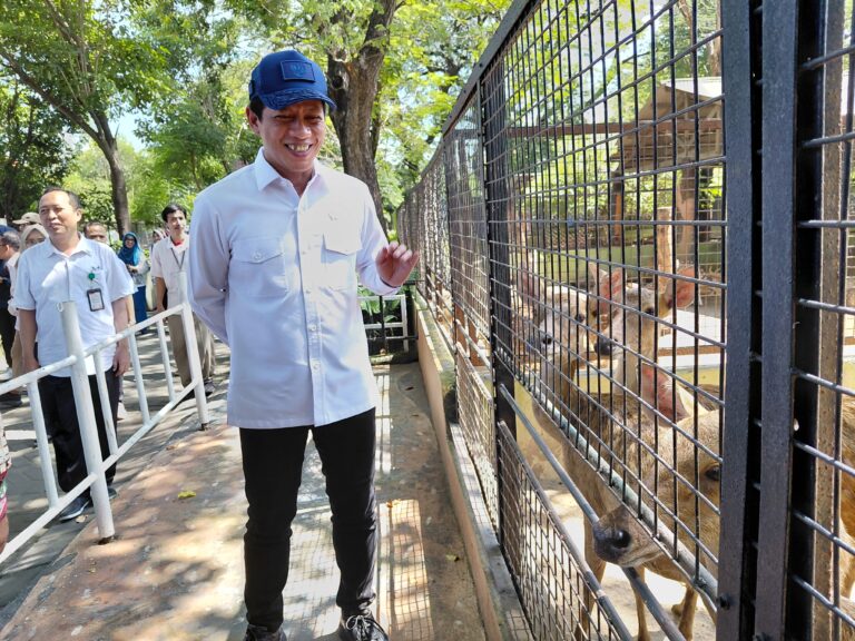 Kebun Binatang Surabaya Dikunjungi Menteri LH, Tekankan Pentingnya Penguatan Konservasi