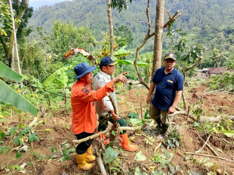 Respon Cepat Longsor Trenggalek, BPBD Jatim Terjunkan Tim Evakuasi Korban dan Bersihkan Material Penutup Jalan