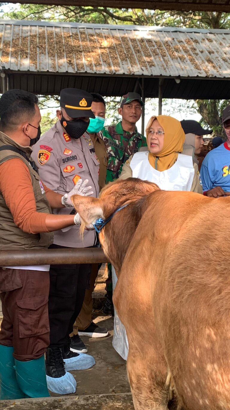 Jelang Idul Adha, Pemkab Lamongan Pastikan Hewan Kurban Sehat