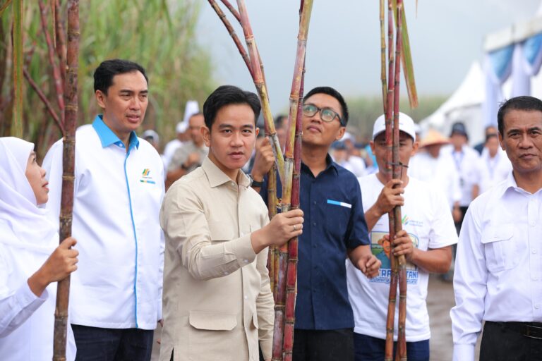 Ke Banyuwangi Wapres Panen Tebu, dan Dialog Bersama Petani dari Berbagai Wilayah di Indonesia
