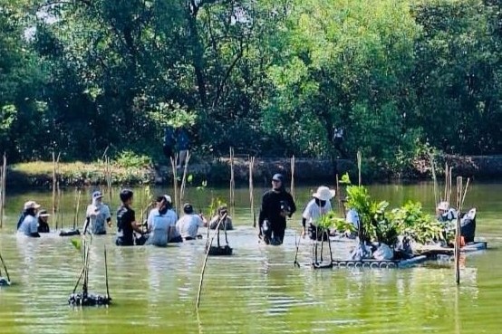 Tanam 1.000 Bibit Mangrove, Kolaborasi Pemkot-WVI Jaga Kelestarian Lingkungan Pesisir Surabaya