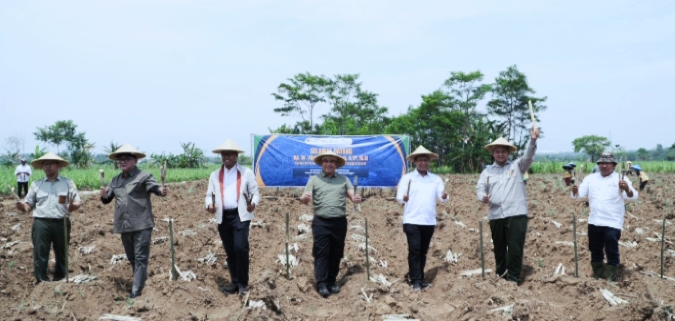 Ditjenbun RI Tinjau Kebun Bongkar Ratoon PT SGN: Tindak Lanjut Rakornas Agustus 2025
