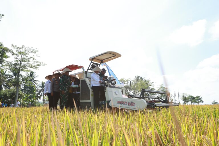 Dukung Swasembada Pangan Presiden, Pemkab dan Pupuk Kaltim Panen Demplot Padi di Banyuwangi