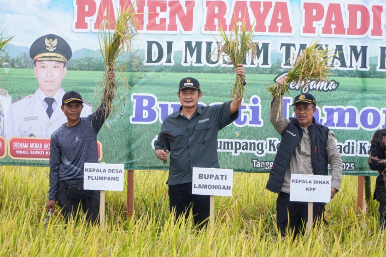Panen Raya Ketiga Berhasil Dan Tembus Harga Tinggi