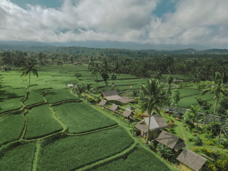 Hadirkan Ijen Golden Route, Banyuwangi Kenalkan Destinasi Hidden Gem Seputar Kaki Ije