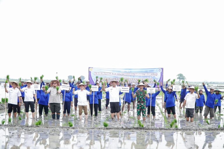 Luas Tambah Tanam Di Lamongan Lampaui Target Nasional