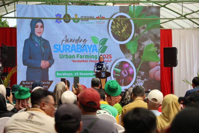 Akhir Tahun Harga Sering Meningkat, DKPP Surabaya Ajak Warga Budidaya Cabai dan Bawang