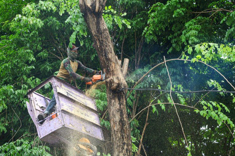 Cegah Pohon Tumbang Saat Cuaca Ekstrem, DLH Surabaya Uji Alat Khusus