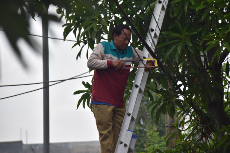 Satpol PP Surabaya Tertibkan 18 Tiang Kabel Fiber Optik Tak Berizin di Jalan Panjang Jiwo