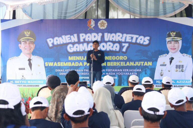 Pemkab Bojonegoro Bareng UGM Gelar Panen Padi Varietas Gamagora 7 Siap Wujudkan Swasembada Pangan Berkelanjutan