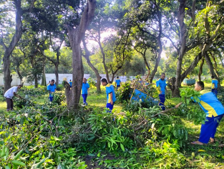 Optimalkan Program Ladangku, Lakukan Pemangkasan Pohon Mangga di UPT RSBK Pasuruan