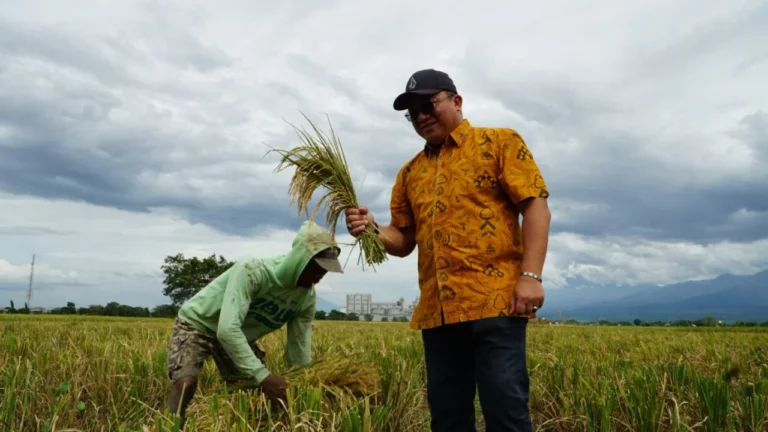 Tertinggi Sepanjang Sejarah, Serapan Pengadaan Beras Bulog Jatim Tembus 200 ribu ton pada Februari 2026