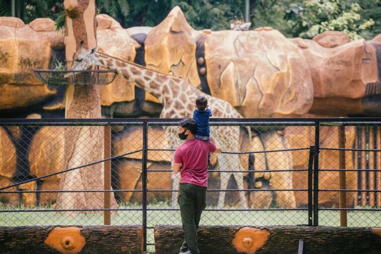 KBS Jadi Pilihan Libur Keluarga, 40 Ribu Pengunjung Datang Selama Libur Lebaran 2026