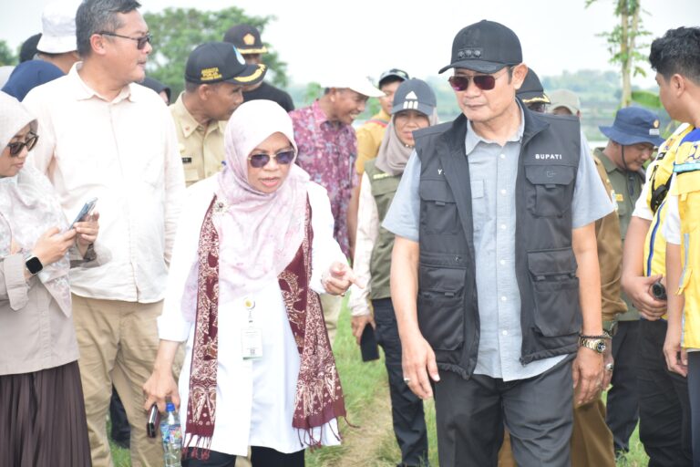 Upaya Atasi Kekeringan Terus Dikuatkan Untuk Pertahankan Swasembada Pangan
