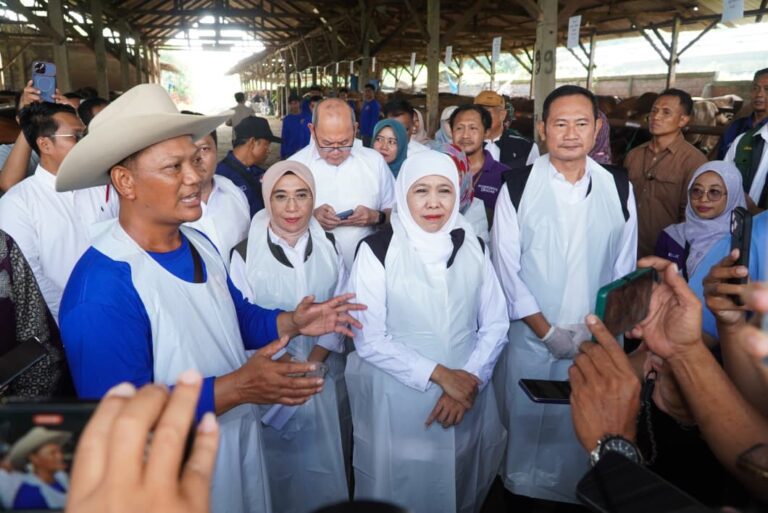 Lamongan Masih Menjadi Daerah Dengan Ketersediaan Sapi Terbesar di Jawa Timur