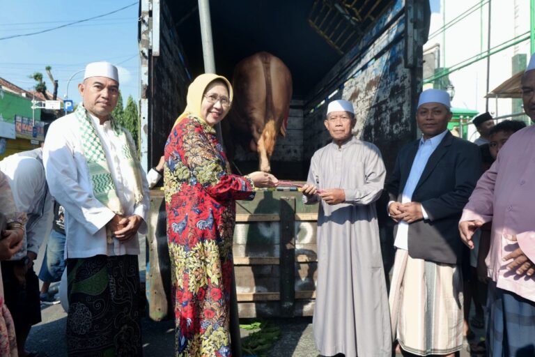 Sapi Kurban Presiden untuk Lumajang Jadi Bukti Penguatan Kualitas Peternak Lokal