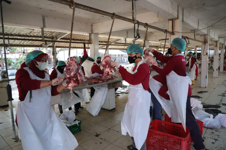 RPH Surabaya Pastikan Pemotongan Kurban Iduladha 2026 Higienis, Transparan, dan Sesuai Syariat