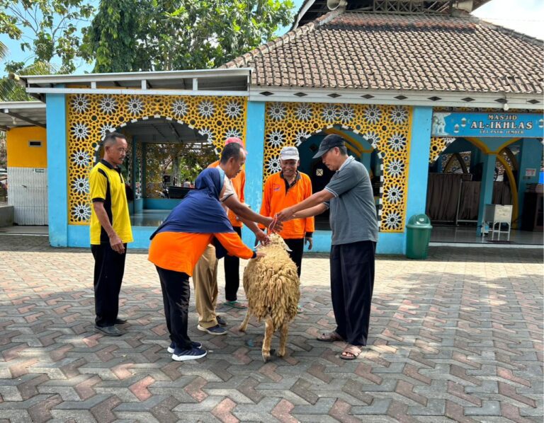UPT PSTW Jember Rayakan Idul Adha 1447 H dengan Penyembelihan Hewan Kurban