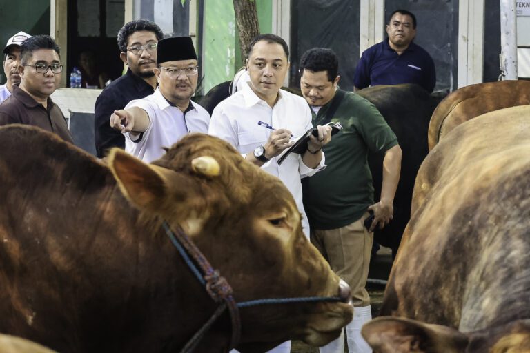 Wali Kota Eri Terbitkan SE Idul Adha 2026, Hewan Kurban Masuk Surabaya Wajib Vaksin PMK dan Kantongi SKKH 