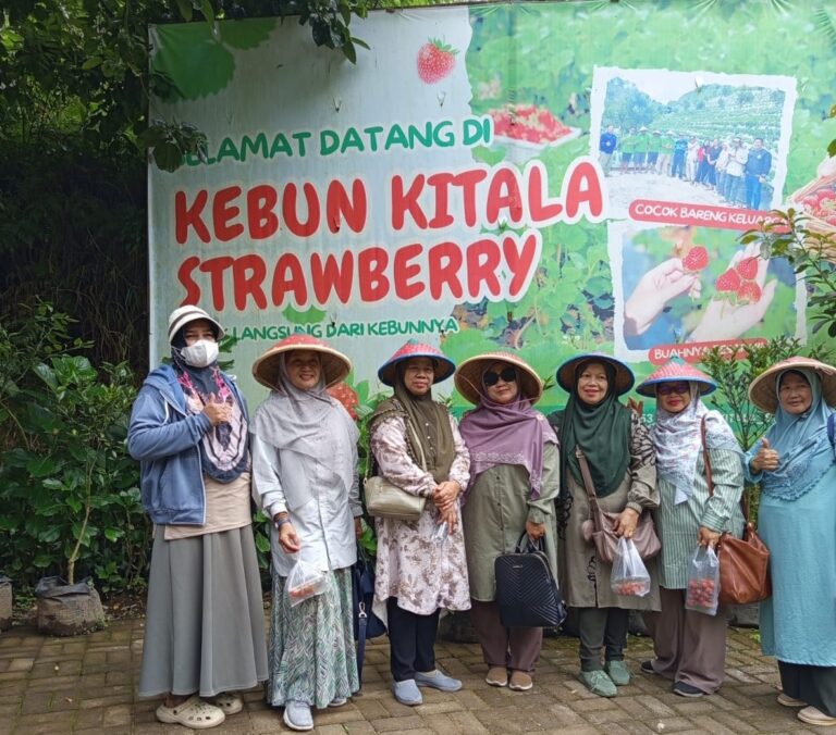 Belajar Wisata Inklusif dari Kebun Kitala Strawberry di Kota Batu