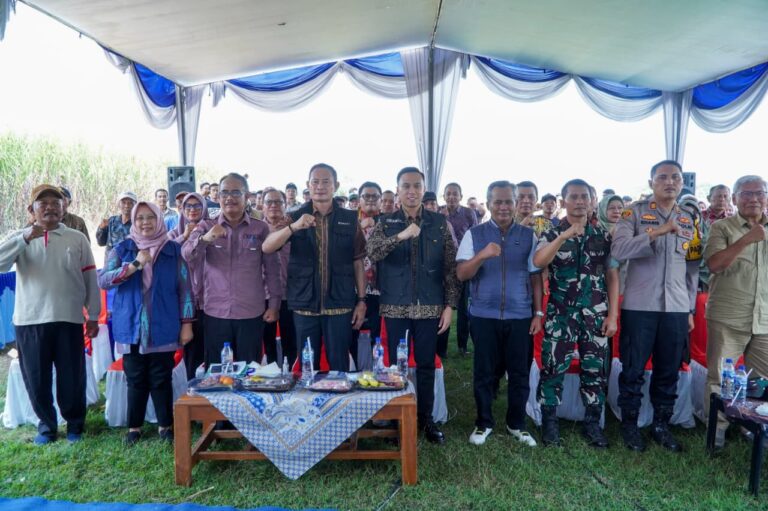 Lamongan Dijatah 1.385 Hektar Lahan Program Bongkar Ratoon di Tahun 2026