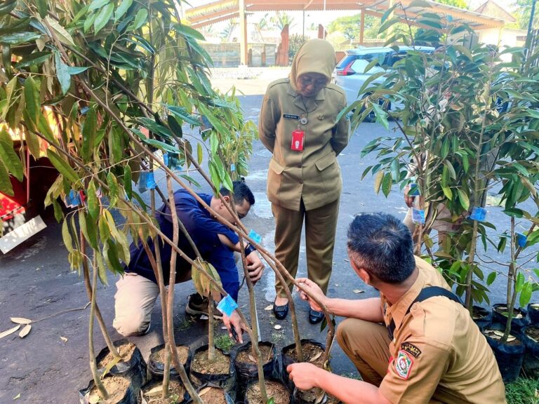 Pemkab Lumajang Kembangkan Hortikultura Berbasis Potensi Wilayah, Salurkan 1.018 Bibit Durian Bawor di Ranuyoso
