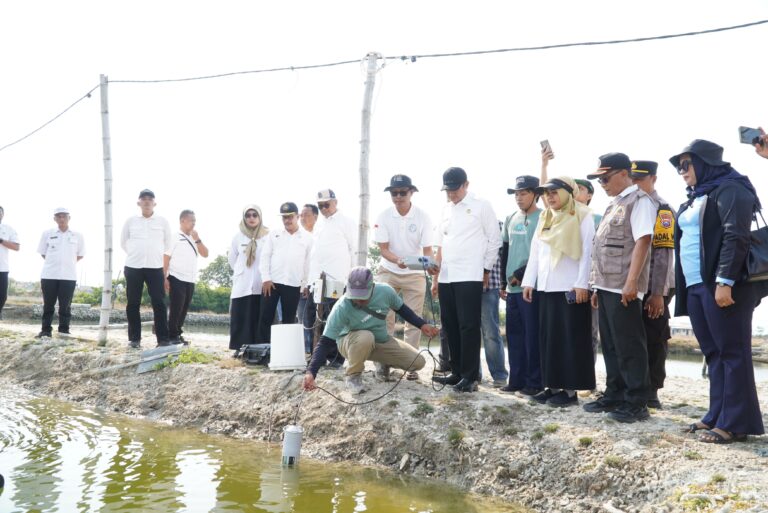 Kampung Kerapu Lamongan Terapkan Modernisasi Perikanan