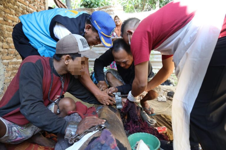 JSC Dinsos Jatim Bebaskan 10 ODGJ Korban Pasung di Kabupaten Pasuruan: Hadirkan Harapan Baru untuk Sembuh