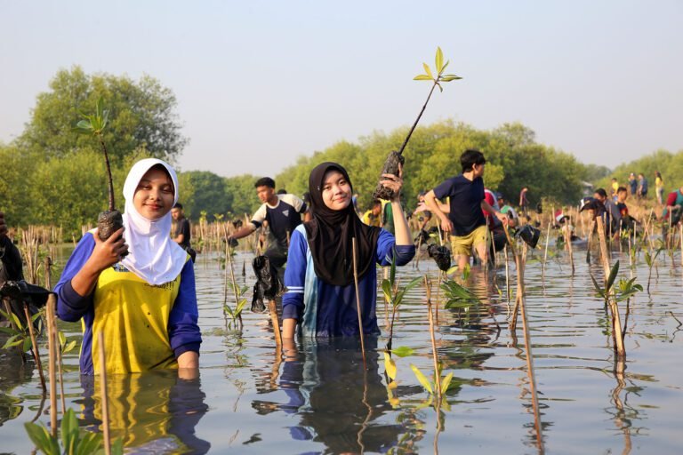 Perkuat Fungsi Riset, BRIDA Surabaya Targetkan KRM Gunung Anyar Miliki 100 Jenis Mangrove