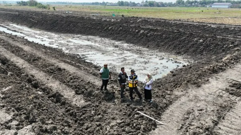 Dukung Pertanian Berkelanjutan, PU SDA Bojonegoro Rehabilitasi Embung Rowoglandang