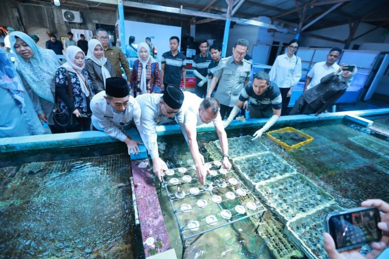 Ekspor ke 20 Negara, Koral Budidaya Banyuwangi Diminati Pasar Global