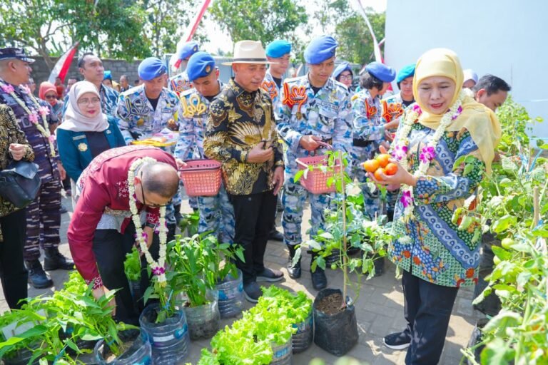 Gubernur Khofifah Panen Sayur Mayur Hasil Program SIKAP SMAN Taruna Nala di Malang, Jadi Praktik Nyata Membangun Ketahanan Pangan dari Sekolah