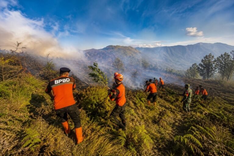 BPBD Lumajang Perkuat Respons Karhutla di Kawasan TNBTS